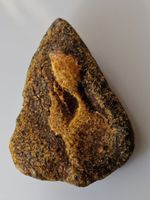 5,8 gr Rohbernstein echt Roh Bernstein baltisch raw Humus