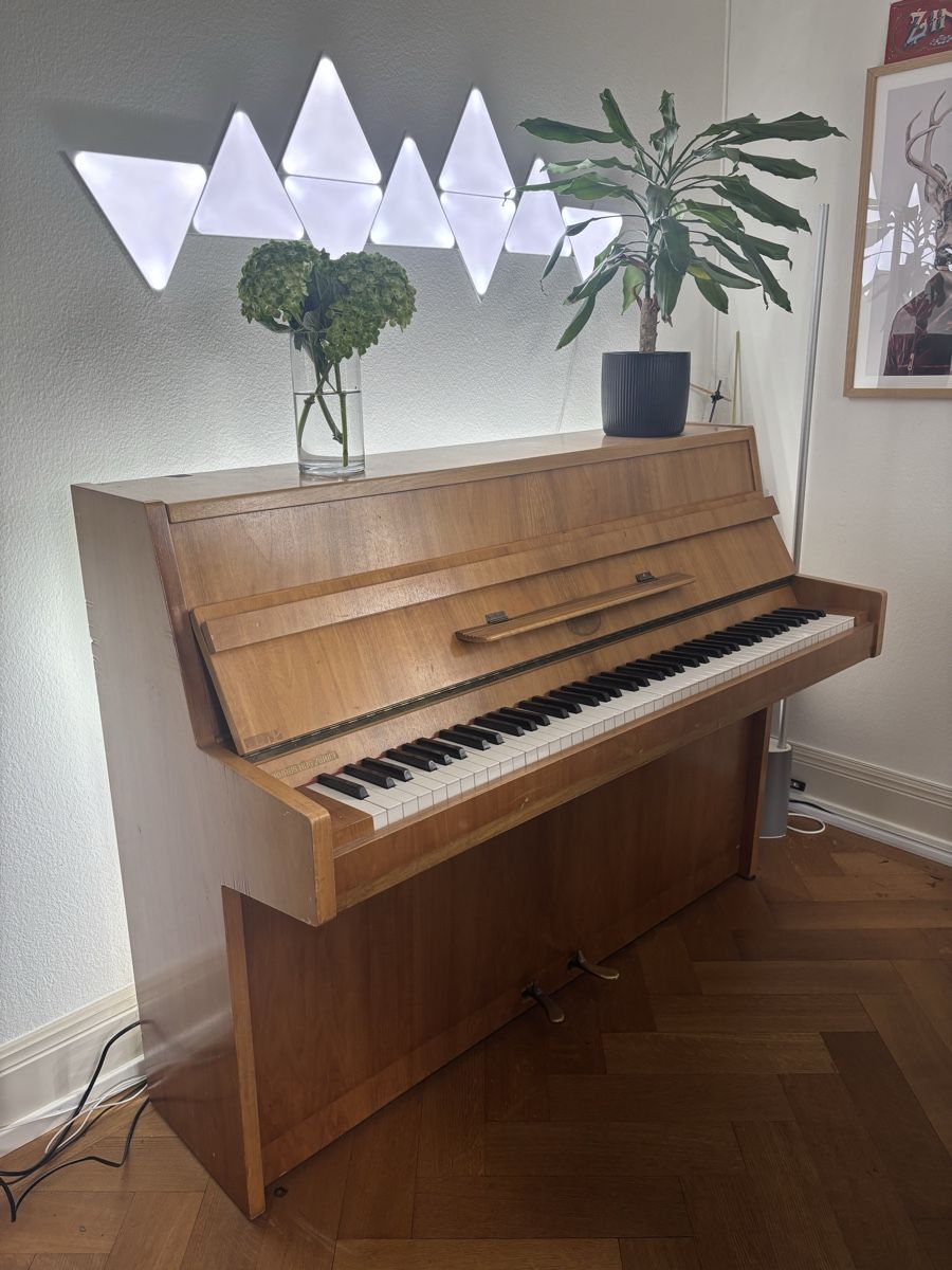 Strumenti musicali: Salbei Upright Piano – Usato da Zollikon venduto da ric_mk5n