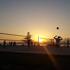 Profile image of Volleyfreaks