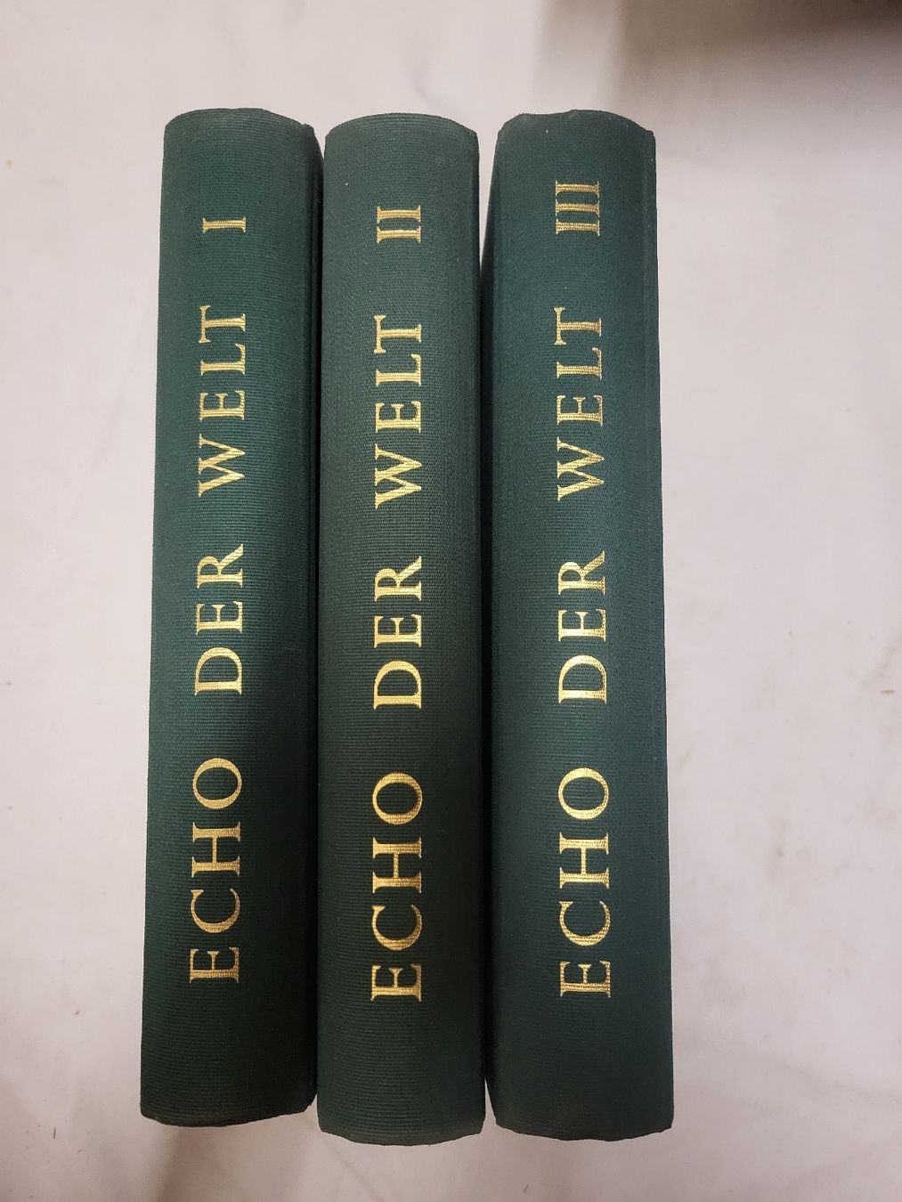 Libri: Echo der Welt – Usato da Basel venduto da Treasurehunter