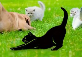 Katze Gartenstecker Metall (30 cm)