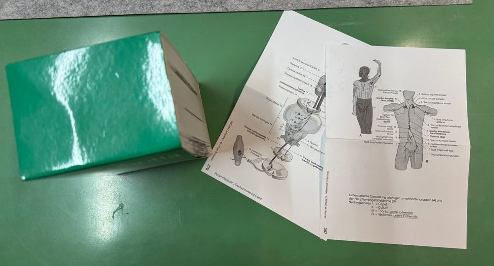 Sobotta: Atlas der Anatomie des Menschen 6