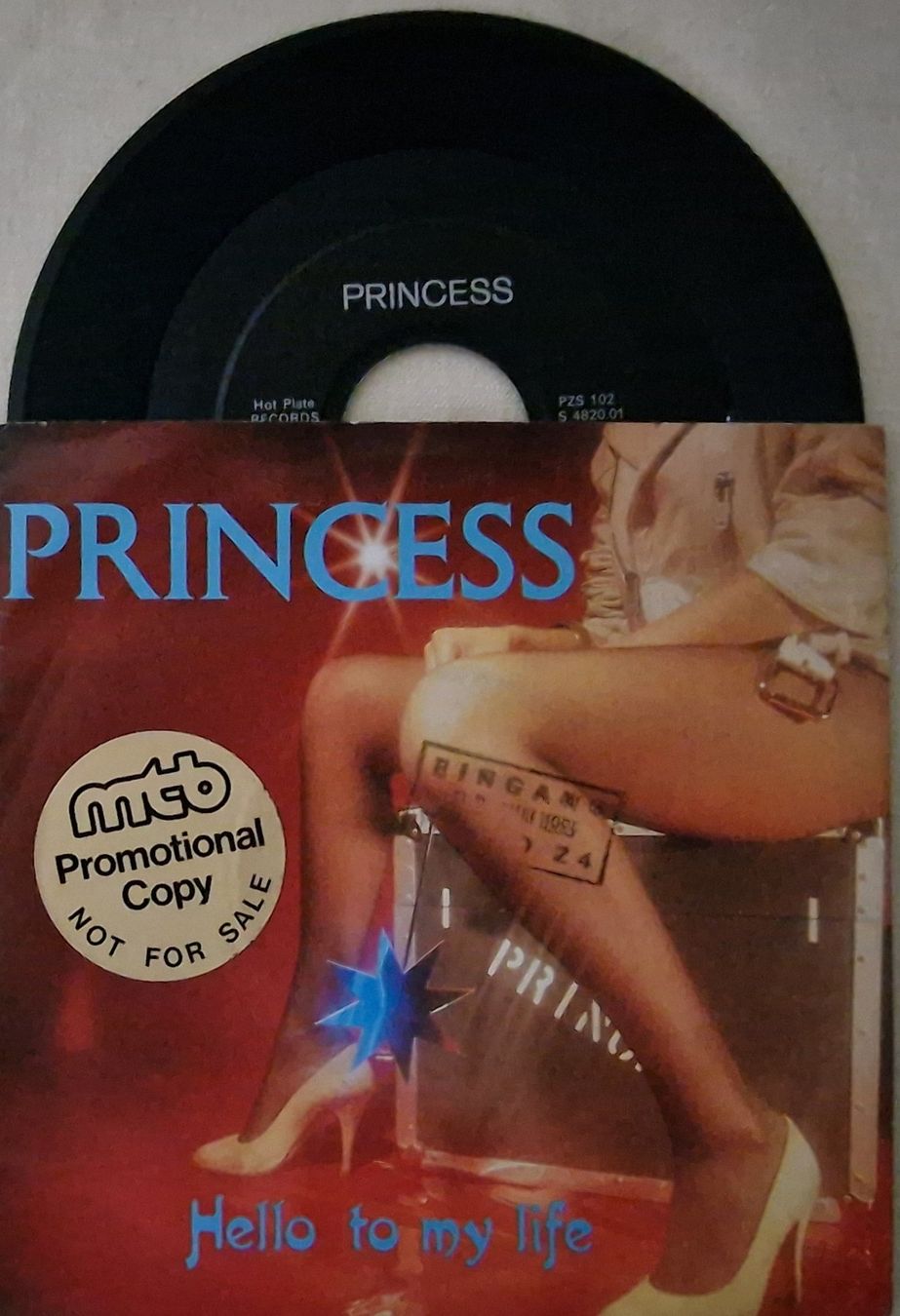 Schallplatten: Princess Single - Hello-To-My-Life – Gebraucht aus Root von atelier22