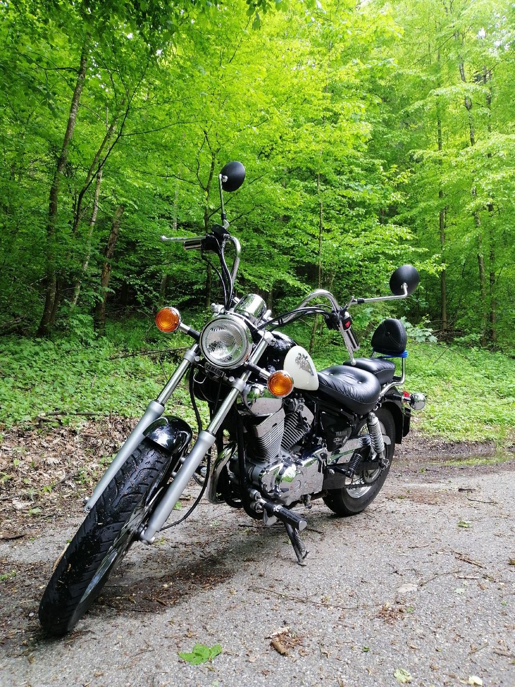 Yamaha Chopper: Yamaha Virago xv 125 – Usato da Brugg AG venduto da SG1