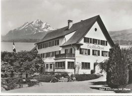 Küssnacht SZ Hotel Eichholtern am See 1963 sehr gut erhalten