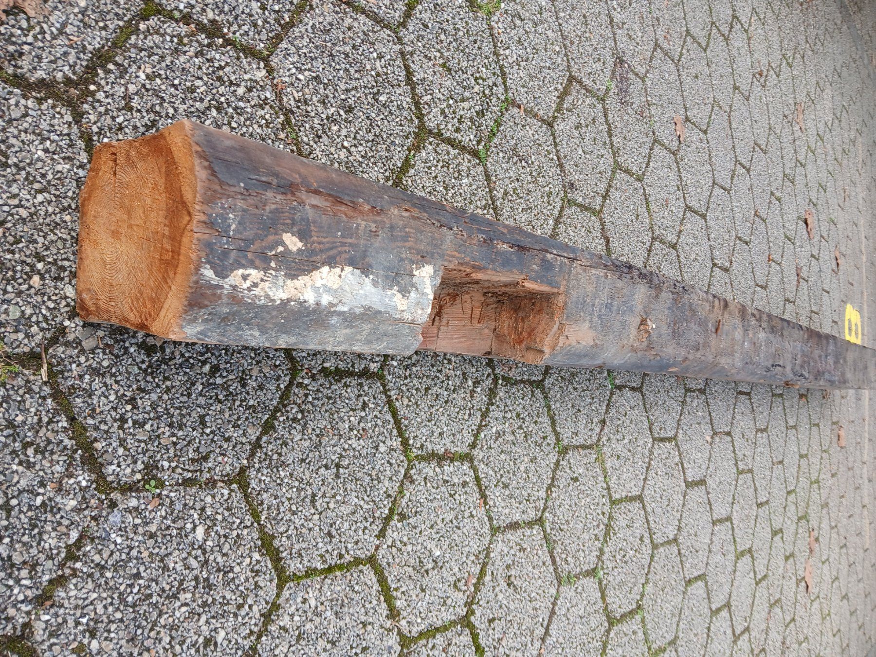 Articoli in legno: Rustikale Lärchenholzbalken – Usato da Zuchwil venduto da pedu79 6