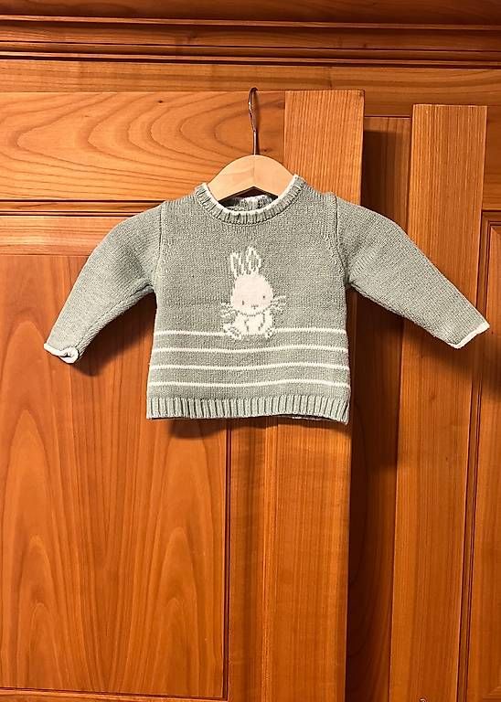 Pulls et sweat-shirts: Pullover Gr. 50/56 – D'occasion à Zürich par esp_v7ml