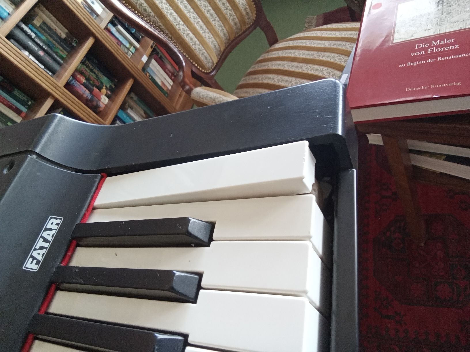 Strumenti musicali: Fatar Studio 900 Keyboard  – Usato da Pratteln venduto da Cartonsducoeur_bl 2