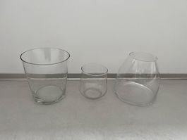 Glasvasen Blumenvasen Pflanzenvasen