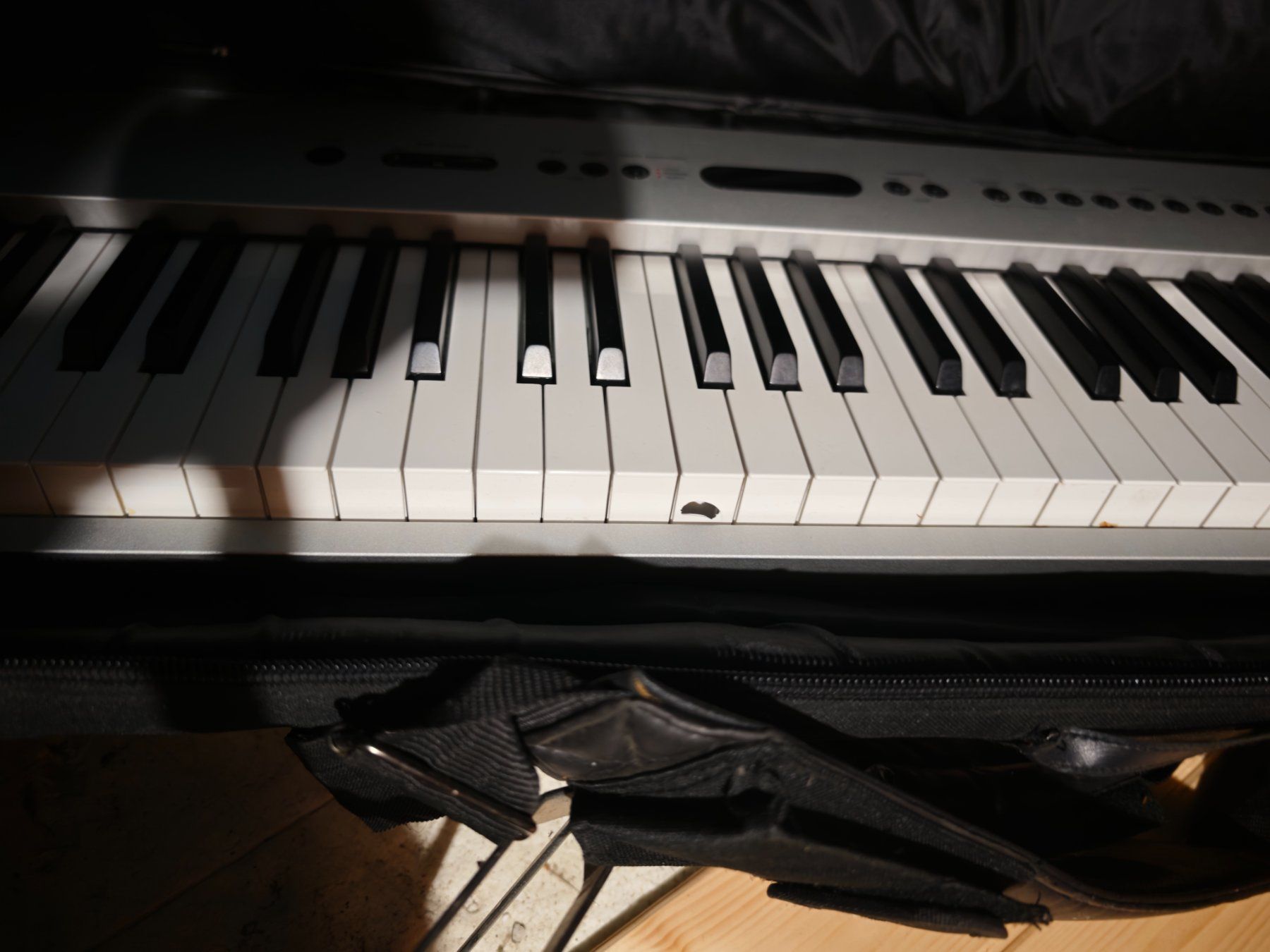 Technics Musikinstrumente: Technics SX-P50 Digital Piano – Gebraucht aus Stein am Rhein von Yellowmanch 1