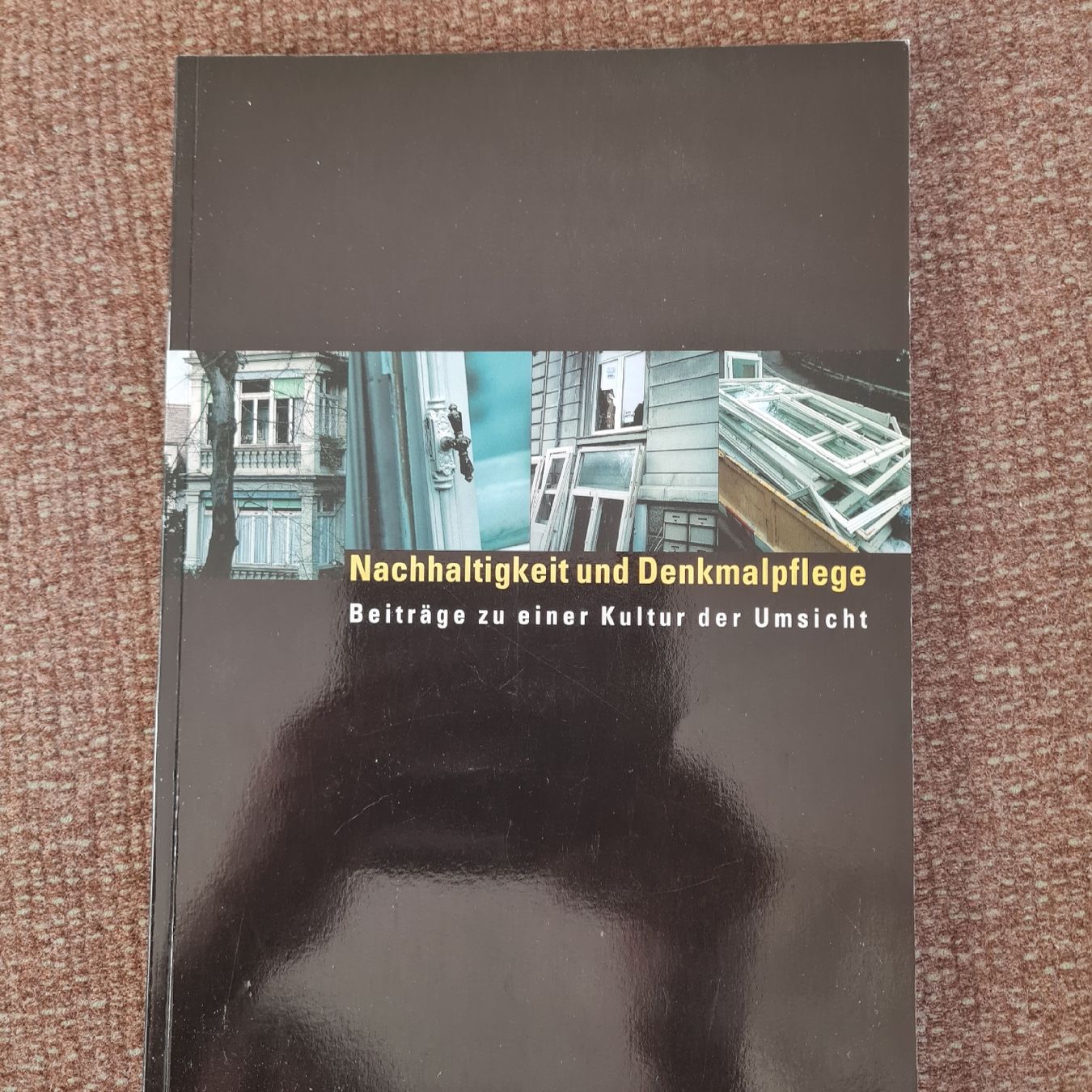 Libri: Nachhaltigkeit und Denkmalpflege – Usato da Basel venduto da Piscosour01