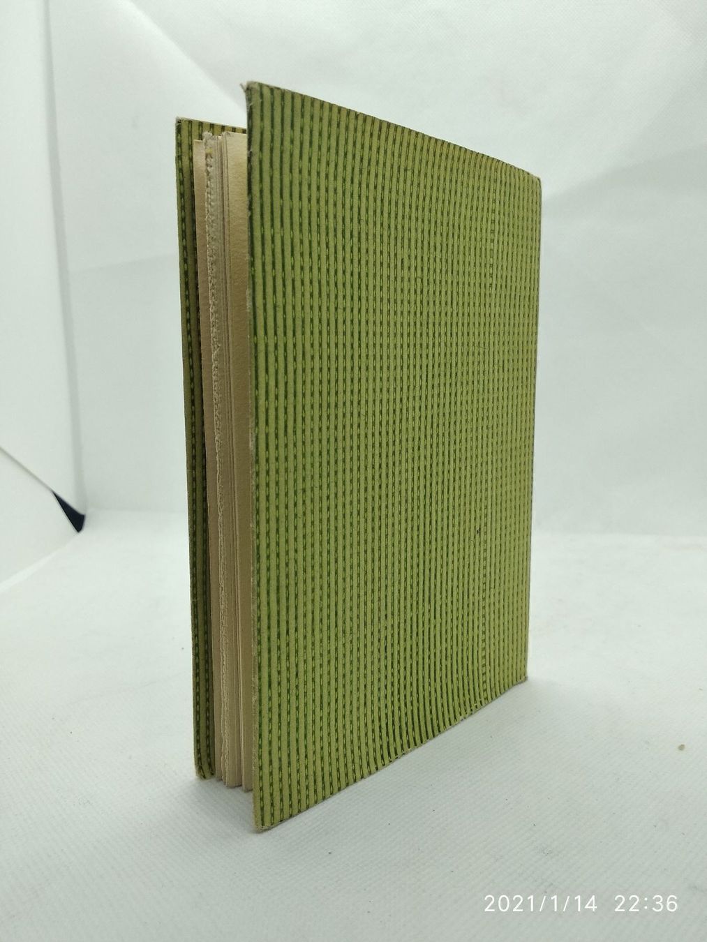 Libri: BASLER TOTENTANZ – Usato da Goldach venduto da Gaip 3