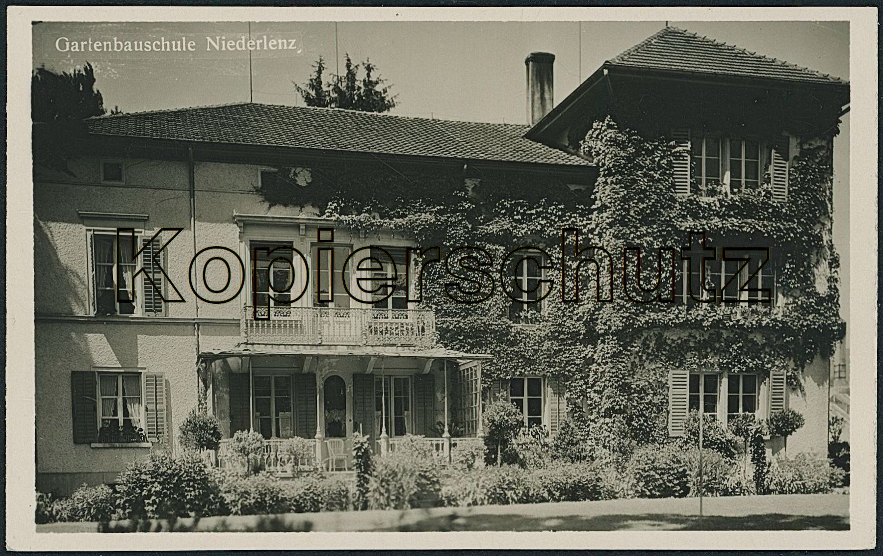 Cartoline postali: AG Niederlenz - Gartenbau – Nuovo (secondo la descrizione) da Schindellegi venduto da stationary