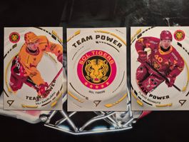 SCL Tigers Team Power Sportzoo 2024/25