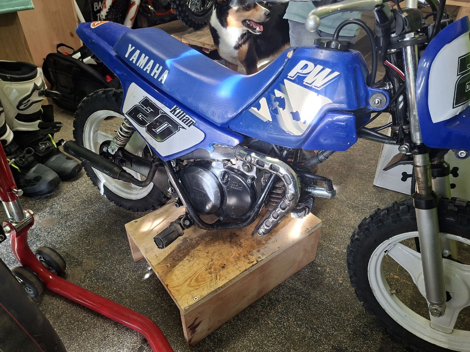 Fahrzeuge für Kinder: Yamaha pw50 – Gebraucht aus hölstein von naggi_360 2