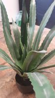 Kunstpflanze Aloe Vera