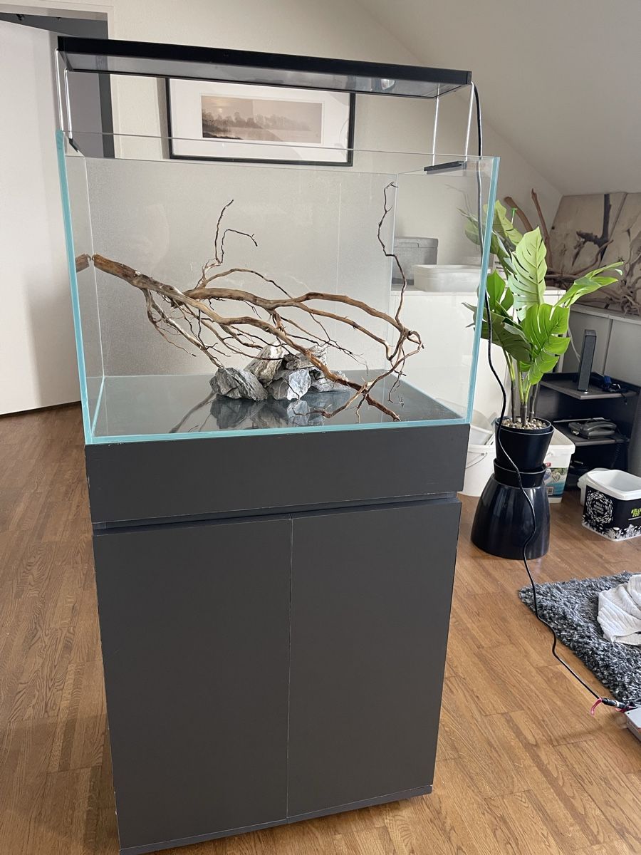 Acquari: Aquarium 90 lt.🐠 – Usato da Hinwil venduto da ron_t8wh 1