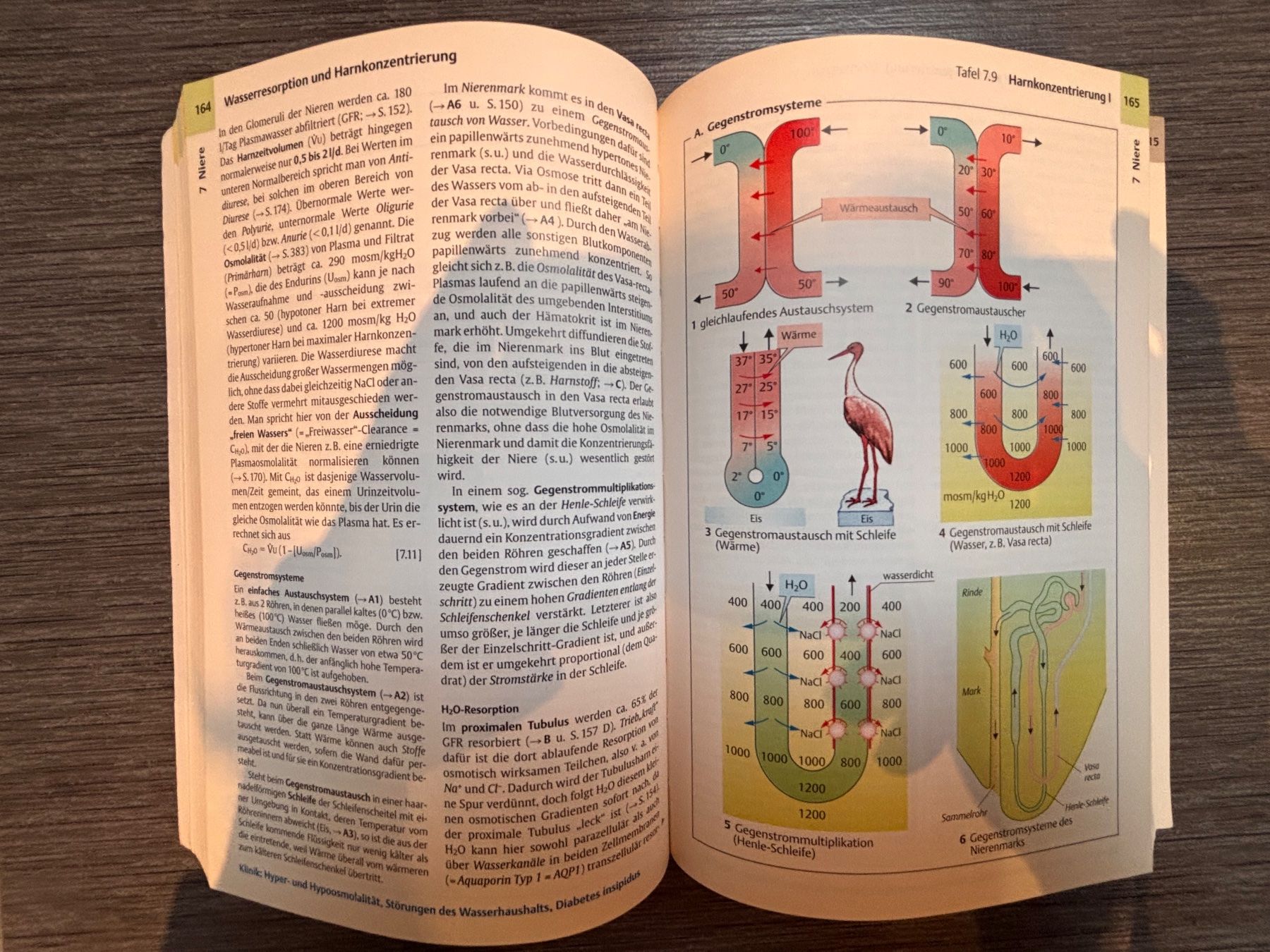 Libri: Taschenatlas Physiologie – Usato da Staufen venduto da An.anna 1