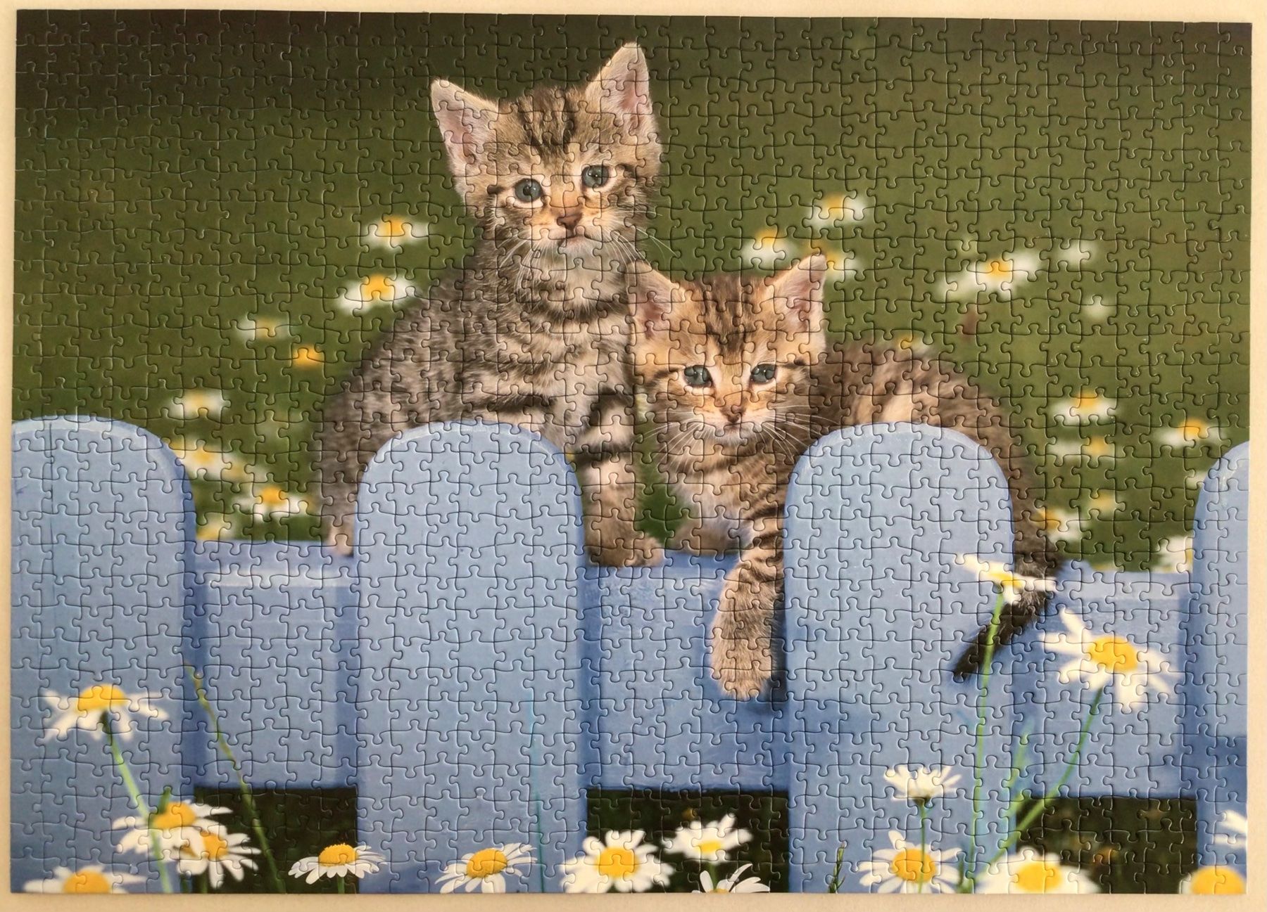 Puzzle: Puzzle Kätzchen 1000Teile – Usato da Wagen venduto da papai1 2