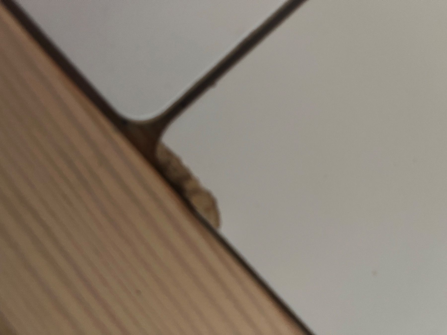 Ikea Tables: flisat Kindertisch mit 2 Stühlen – D'occasion à Bigenthal par alpsommer25 2