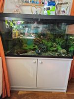 Aquarium mit Unterschrank und Zubehör guter Zustand