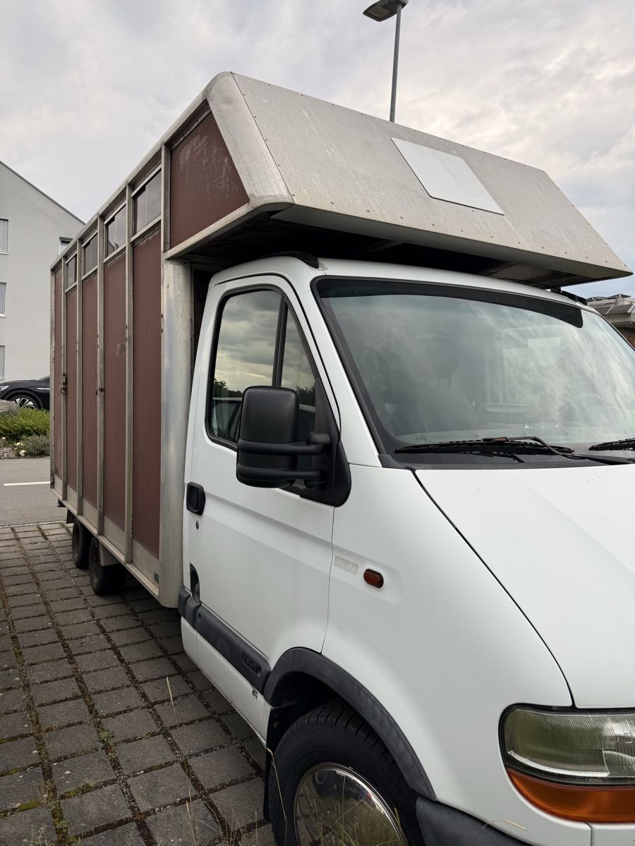 Renault Véhicules utilitaires: Pferdetransporter – D'occasion à Romanshorn par fiber01 1