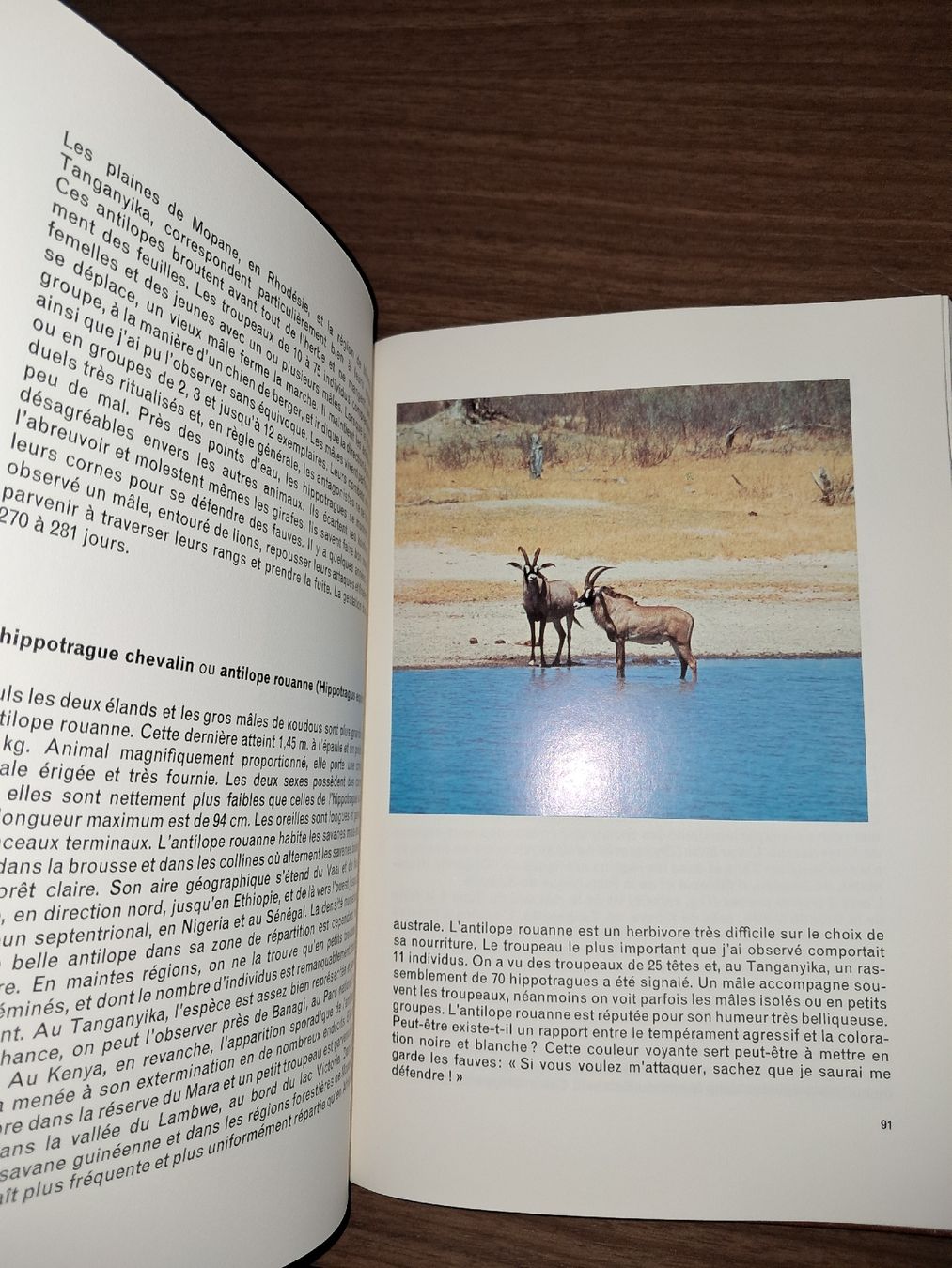 Bücher: Livre faune africaine – Gebraucht aus Le locle von juliensaran 1