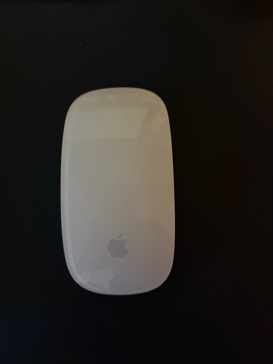 Apple Mouse: Apple Magic Mouse - prima versione – Usato da Giubiasco venduto da sc-77