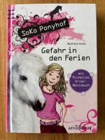 Soko Ponyhof, Gefahr in den Ferien