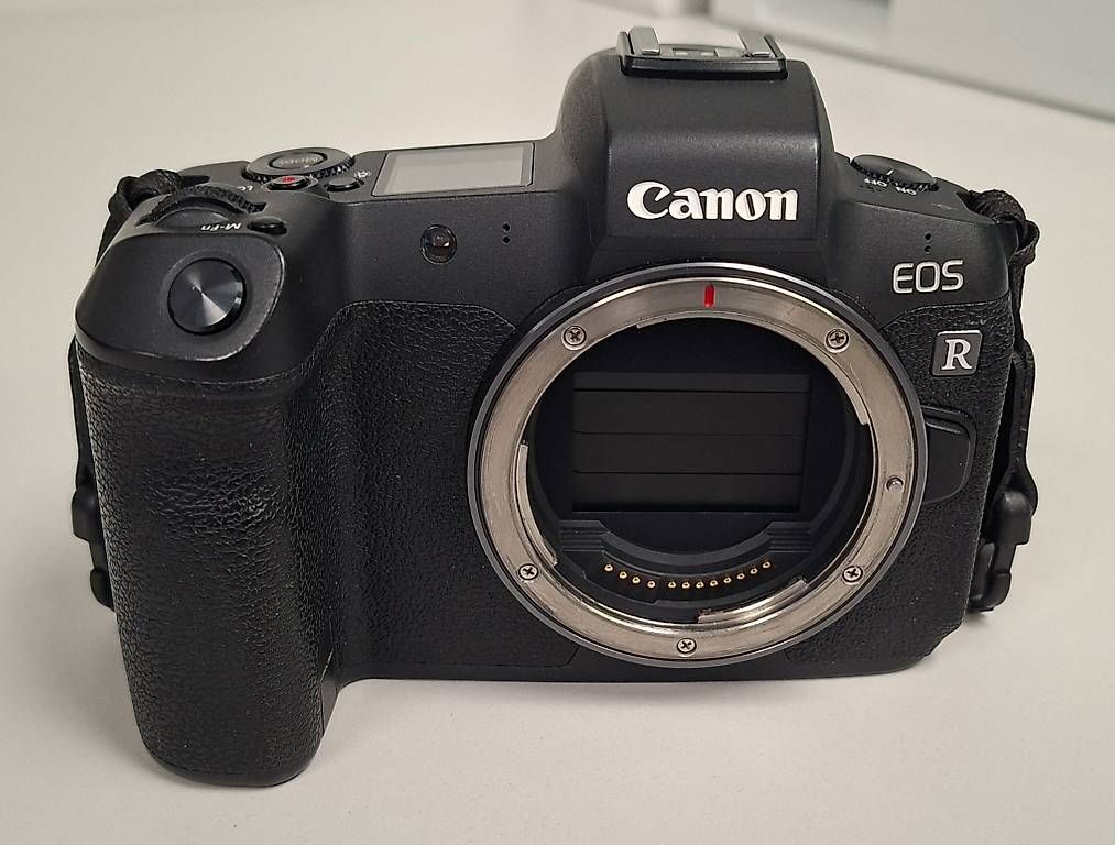 Canon EOS R + Bague EF-EOS R + Sigma 150-600mm Contemporary (D'occasion ...