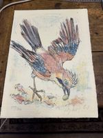 HUG Fritz 1921-1989 Litho Eichelhäher signiert/nummeriert