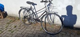 Kult Velo Koga Miyata
