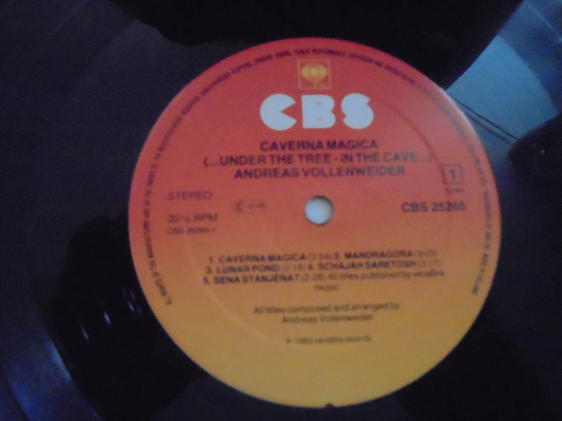 Dischi in vinile: Andreas Vollenweider " Caverna Magica." LP Holland1983 /VG+ – Usato da Crissier venduto da Promopost 2