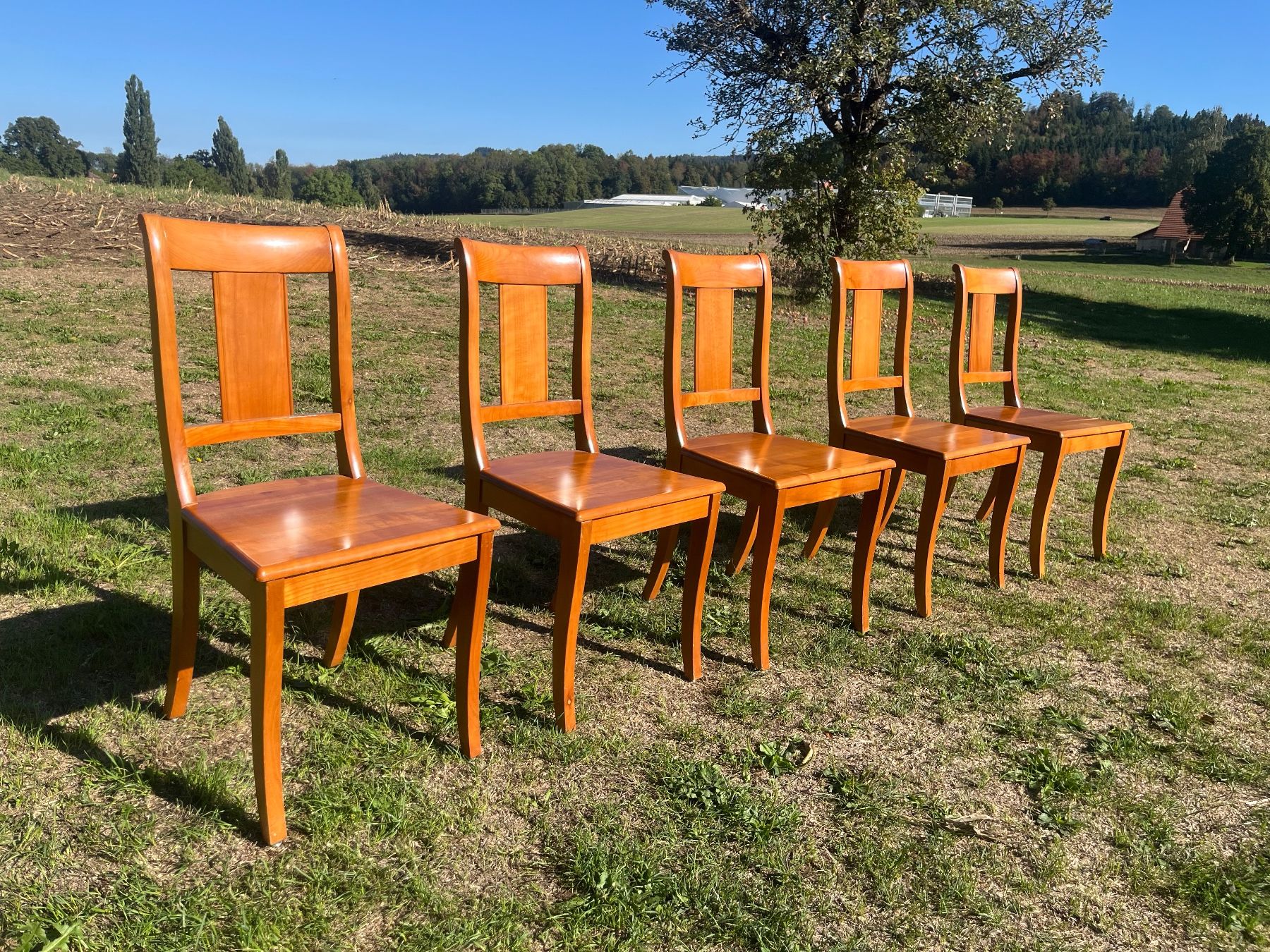 Stühle: 5 Stühle Nussbaum Massiv – Gebraucht aus Allmendingen b. BE von juair