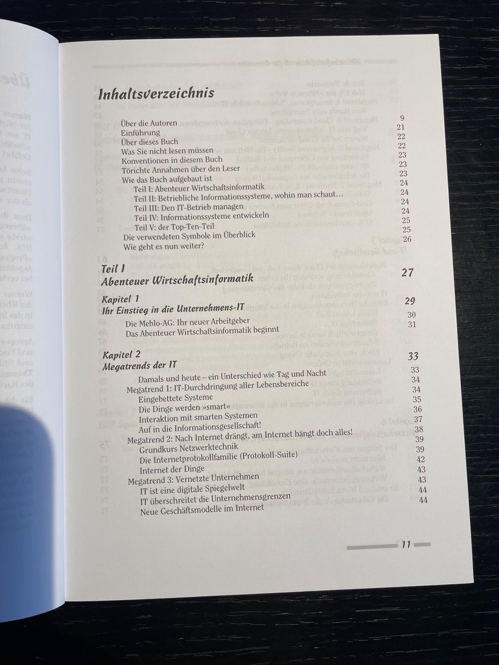 Libri: Buch Wirtschaftsinformatik für Dummies – Usato da Aeschlen ob Gunten venduto da Floh028 2