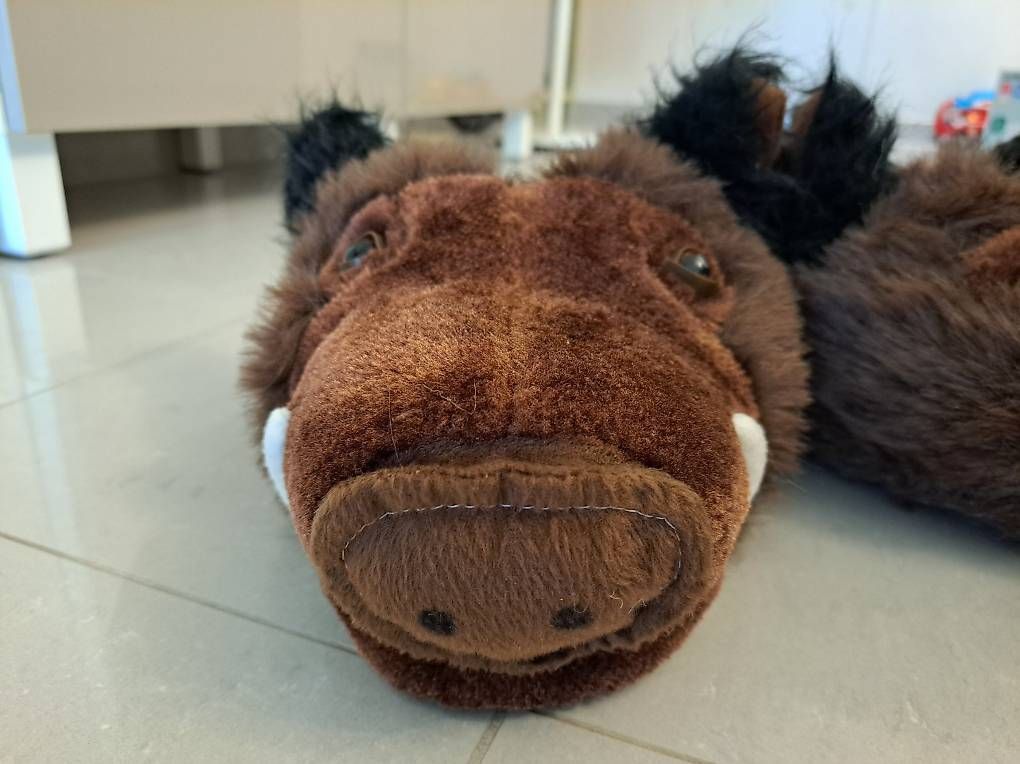 Scarpe da uomo: Wildschwein Finken – Usato da Grafstal venduto da amedici8310 2