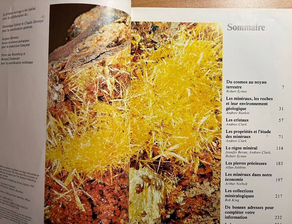 Libri: Encyclopedie des Mineraux – Usato da Adliswil venduto da Heimite 1