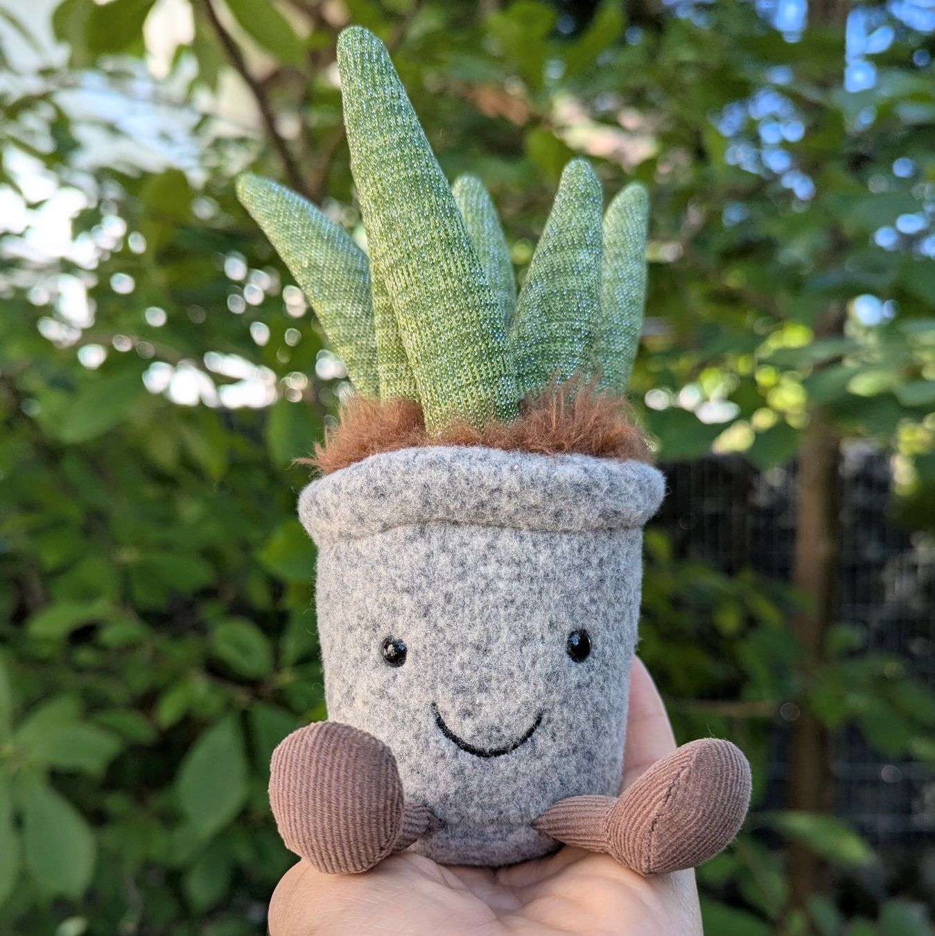 Jellycat Giocattoli: Jellycat Silly Succulent Aloe – Usato da Bertschikon Gossau venduto da Tokibunny