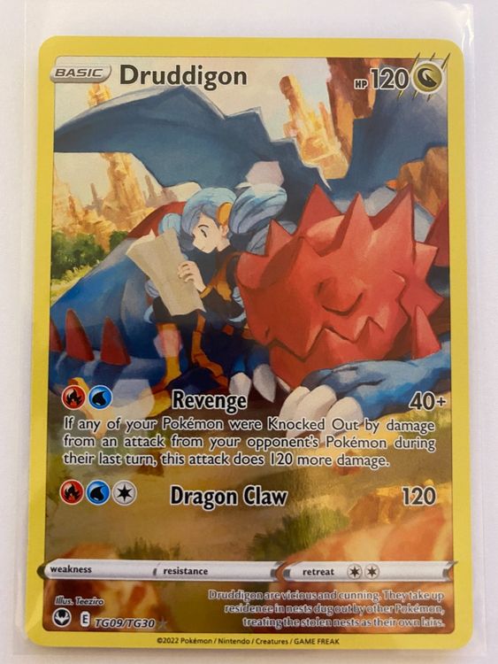 Pokemon Druddigon TG09/TG30 Silver Tempest EN | Kaufen auf Ricardo