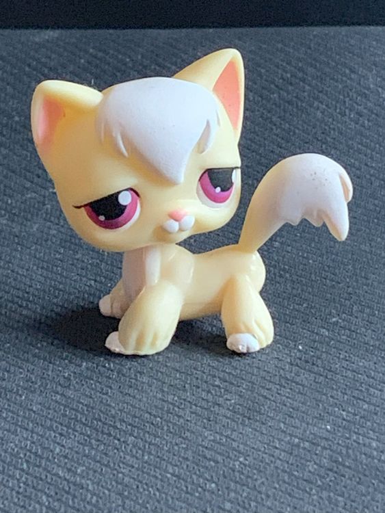 Create a Littlest Pet Shop Longhair Cat List Tier List