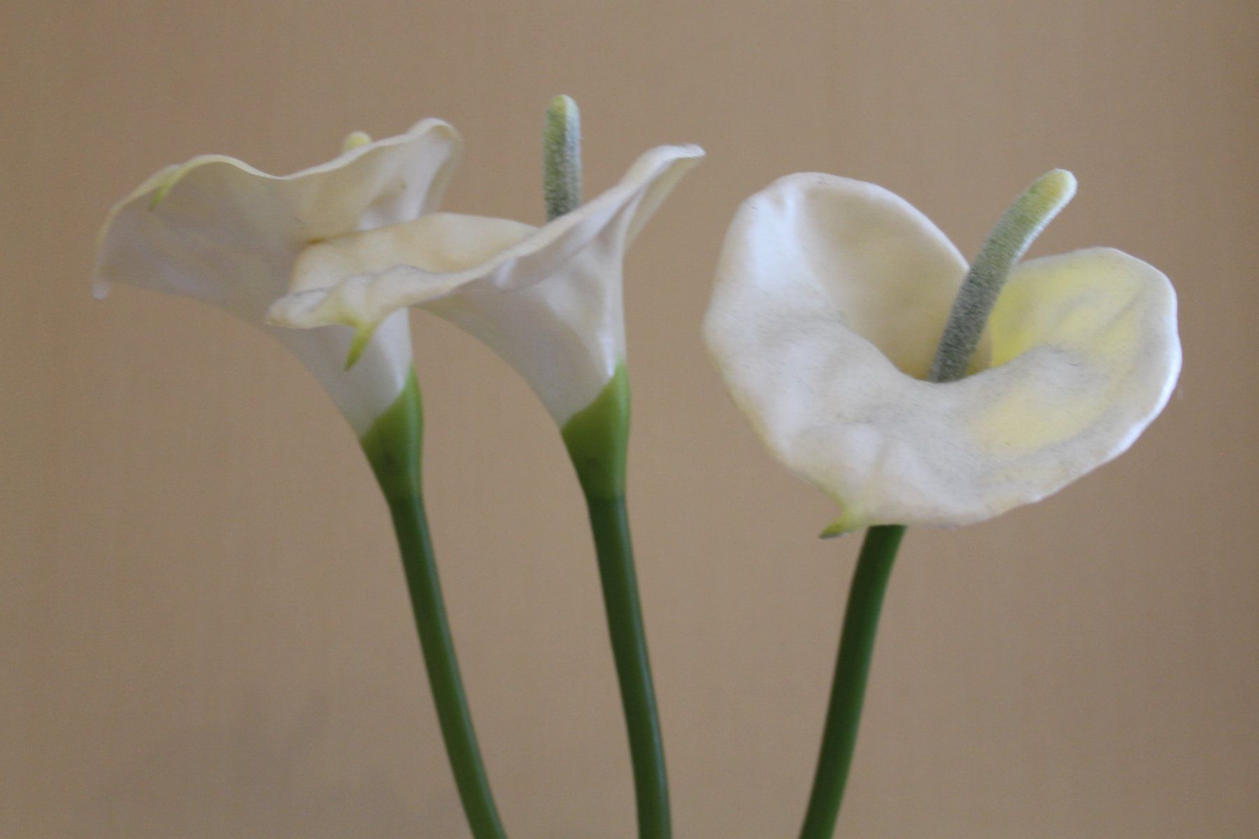 Vasi & Recipienti: Glasvase mit künstlichen Blumen – Usato da Schaan venduto da antikes_und_kurioses 3