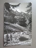 LÖTSCHENTAL - FAFLERALP