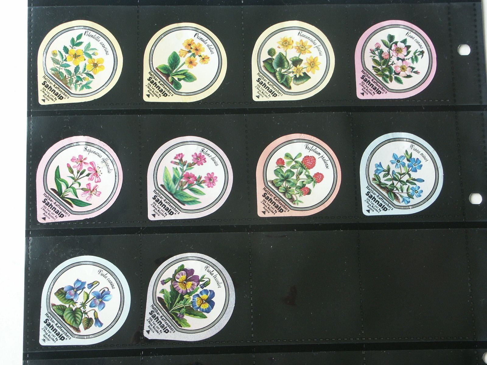 Kaffeerahmdeckel: Serie  33 B   Wald - + Wiesenblumen  8g – Gebraucht aus Niederglatt ZH von herzblatt5449 1