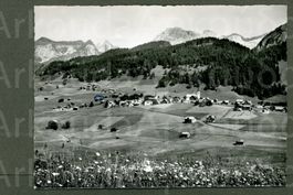 AK sw Wildhaus SG Toggenburg ≈ 1950