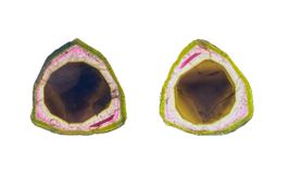 Turamlin Quersschnitte