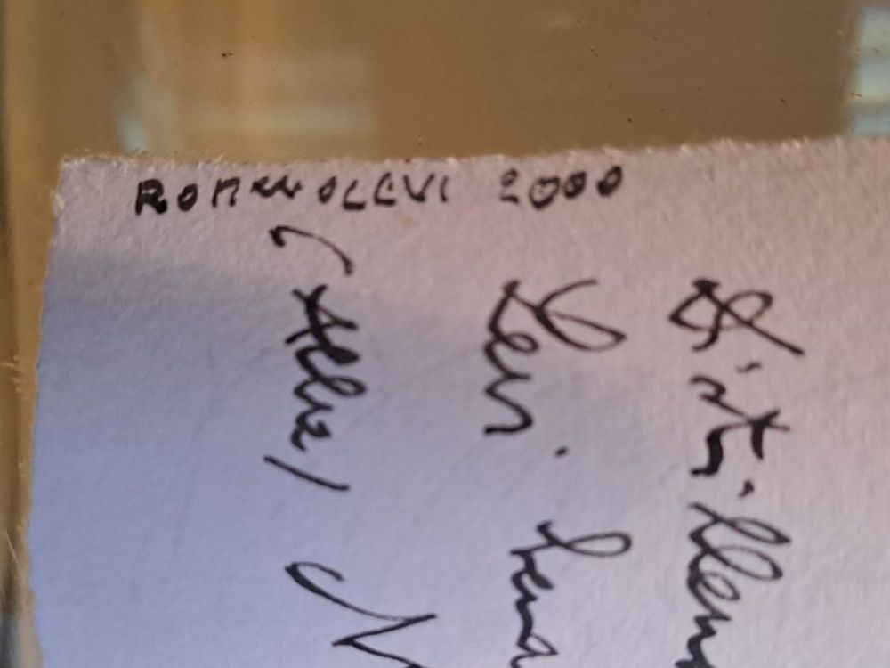 Romano Levi Bevande alcoliche: Orginal seltene Romano Levi Donna Selvatica 2000 Handbemalt – Nuovo e nell'imballaggio originale da Elsau venduto da Kellerraeumung 4