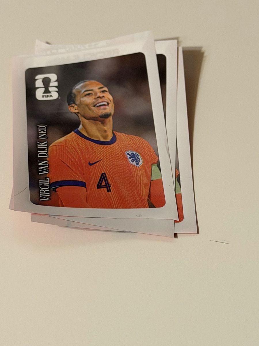 Panini Carte collezionabili: Panini WM 2026 Dijk – Usato da Richigen venduto da EasyDeal00