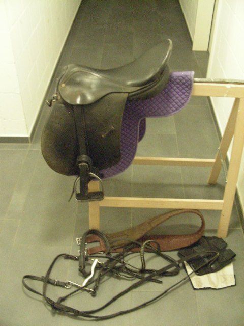 Selle & Accessori: Reitsattel, Pferdesattel – Usato da Oberdorf BL venduto da schnae09