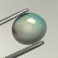 seltenes Shiva Auge, Smaragd Grünes Operculum, Thailand