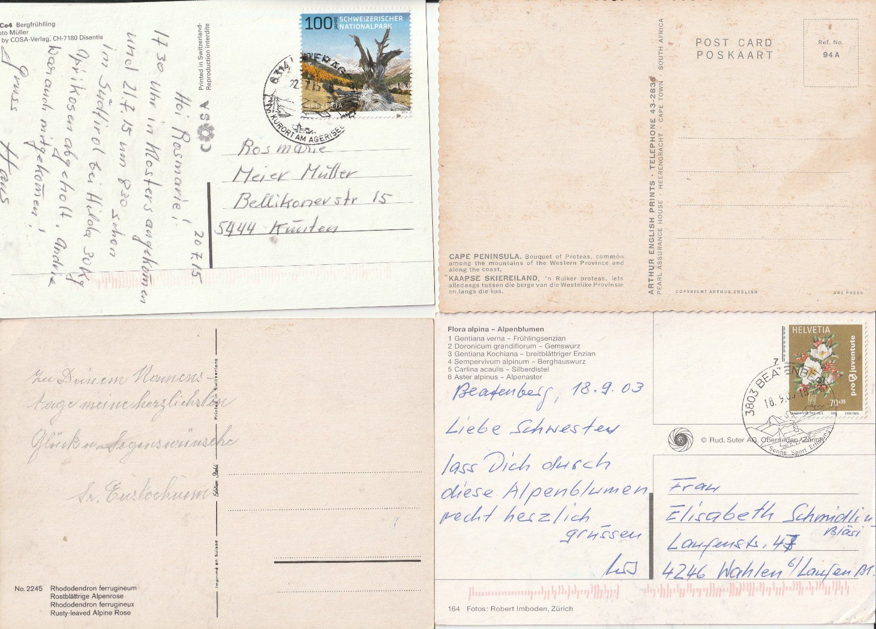 Cartoline postali: 16 Schöne Blumenkarten – Usato da Lumbrein venduto da made02 1